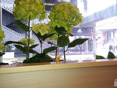 IMAG0612-DQ·蛋糕·冰淇淋(川沙东海岸店)