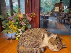 -IFIF 如果花園(宽厚里店)