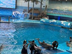 -海合安成都极地海洋公园