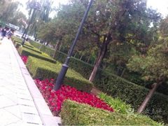 iphone_upload_pic-迎泽公园