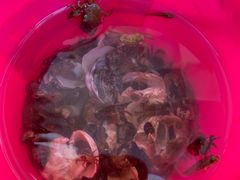 -青岛第一海水浴场