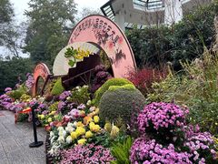 -杭州植物园