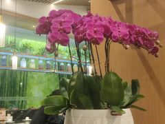 -国人川菜(李家村建东街店)
