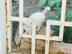 -北京观赏动物医院·24小时大型综合·猫专科·异宠专科
