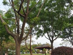 -东莞植物园