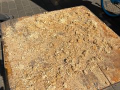 -沙湾姜埋奶(兴新包店)