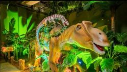 -恐龙探索乐园(磁器口店)