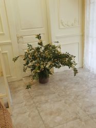 -金色童年儿童摄影(中海店)