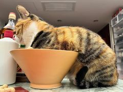 -新荟城(望京店)