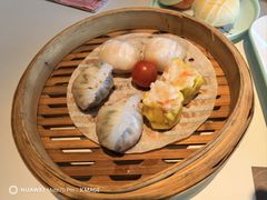 -新兴·金羊座·粤菜点心(乐峰店)