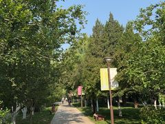 -元大都城垣遗址公园