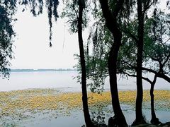 -西昌邛海湿地