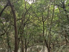 -小南山公园