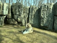 -北京野生动物园