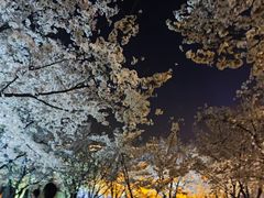 -龙美术馆(西岸馆)