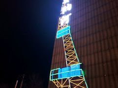 -赛纳河休闲商务会馆(天宁寺店)