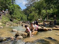 -广州白江湖森林公园