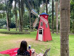 -南宁良凤江国家森林公园