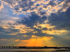 -宝安西湾红树林湿地公园