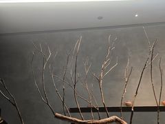 -喜茶(深圳万象城黑金店)