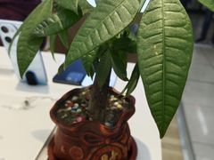 -苏宁易购(上海沪太路二店)