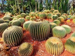 -昆明市金殿名胜区