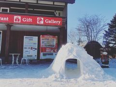 -钏路市丹顶鹤自然公园