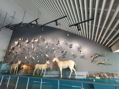 -中国湿地博物馆