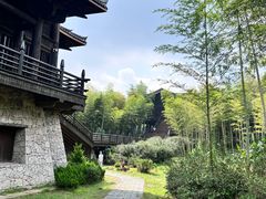 -大唐贡茶院