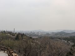 -白水寺森林公园