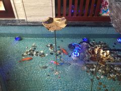 -水晶之星洗浴温泉汗蒸