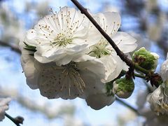 -龙湖星悦荟(颐和店)