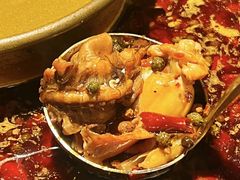 -哥老官重庆美蛙鱼头(日月光店)