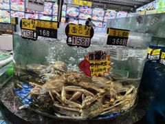 -绿雅居原生态农庄(小涌店)