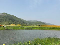 -径山花海