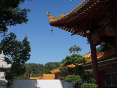 -深圳仙湖植物园