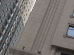 -西安赛瑞喜来登大酒店