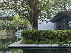 -三亚太阳湾柏悦酒店