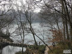 -紫霞湖公园