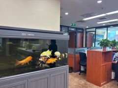 -北京市中润律师事务所