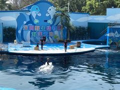 -深圳野生动物园