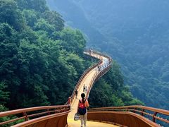 -少华山国家森林公园