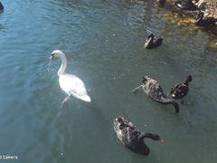 -长白岛森林公园