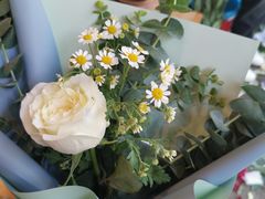 -爱尚幸福鲜花(上地实体店)