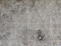 -昆明动物园