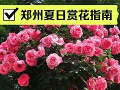 -郑州植物园