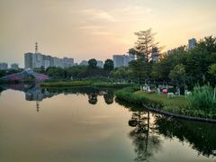 -映月湖公园