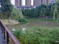-沐仙湖湿地公园
