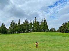 -成都保利公园皇冠假日酒店(熊猫基地店)