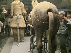 -秦始皇帝陵博物院-丽山园